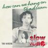 Tim Hardin - How can we hang on to a dream