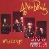 4 non blondes - What's up